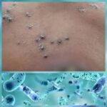 प्रधानमंत्री गुजरात को शनिवार को देंगे 26 हजार करोड़ रुपये से अधिक के विकास कार्यों की सौगात