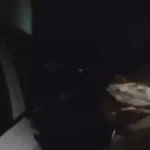 अवैध निर्माण करने वाले 28 लोगों के खिलाफ मुकदमा दर्ज