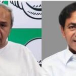 आपसी रंजिश में कर भाई ने की भाई की हत्या