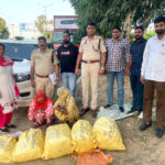 ‘किंग’ की शूटिंग में शाहरुख के साथ नजर आईं दीपिका