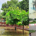 प्रधानमंत्री नरेन्द्र मोदी के काशी आगमन पर भव्य स्वागत की तैयारी, स्वागत प्वाइंटों पर होगा भव्य अभिनंदन